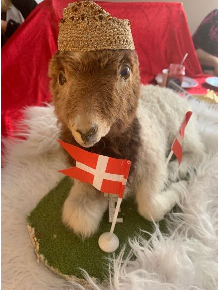 Lambið Einar hélt uppá afmælið sitt