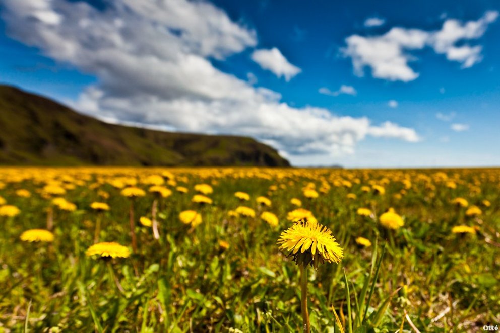 Skráning sumarorlofs í dagbók og sjálfvirk svörun á tölvupósti