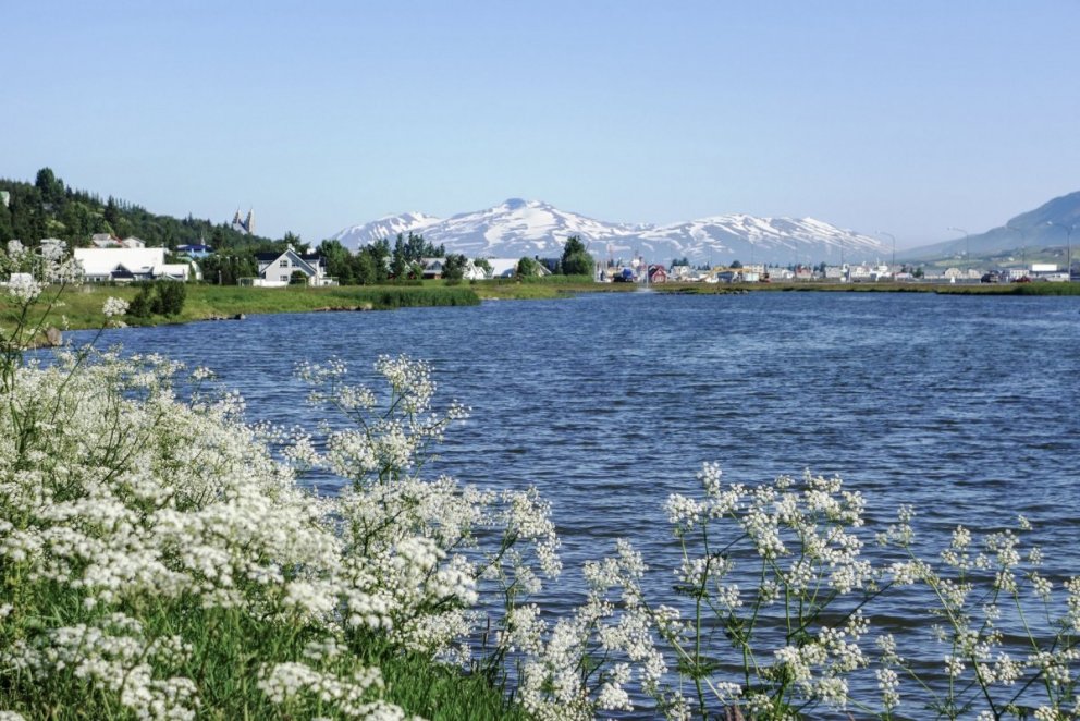 Ljósmynd: María Helena Tryggvadóttir