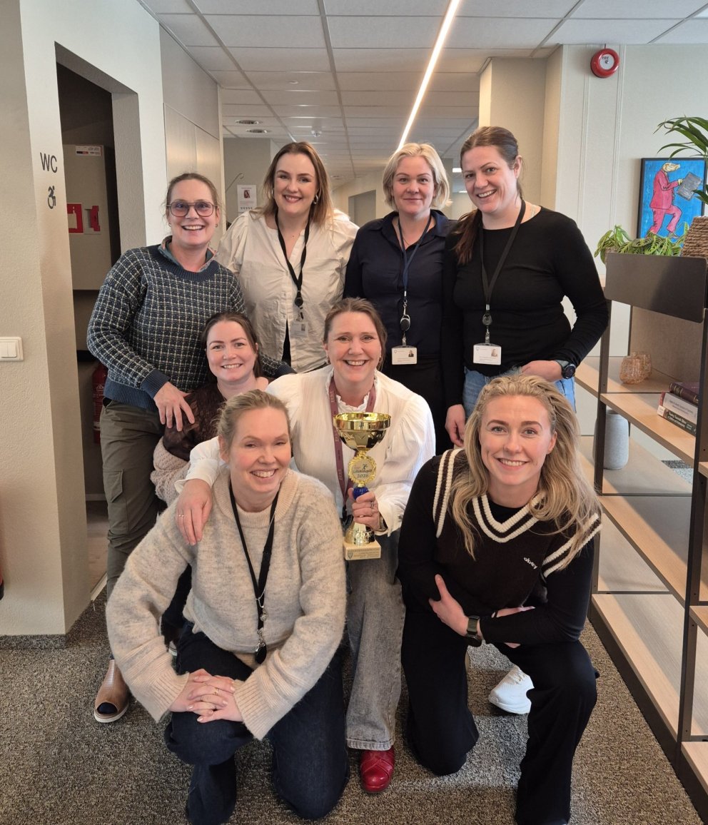 Lífshlaupið - viðurkenningar