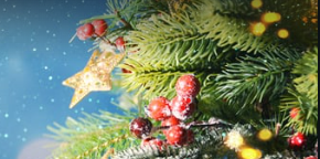 Heilsupistill Heilsuverndar í desmeber