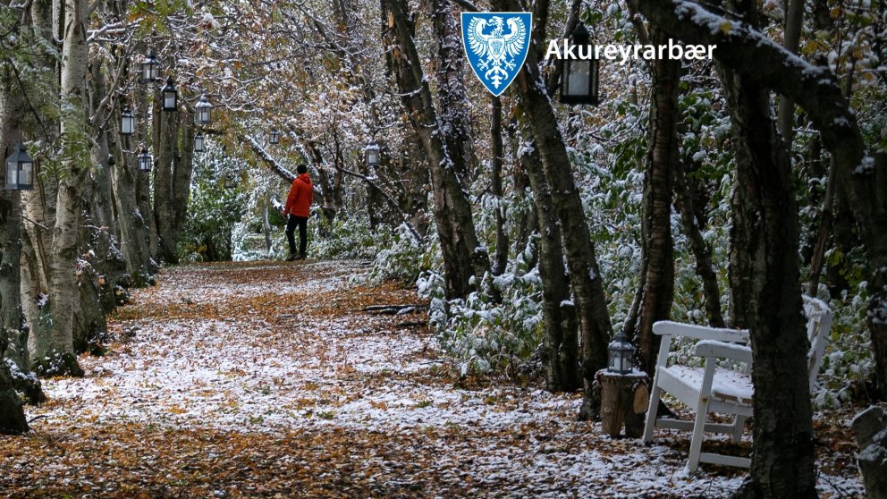 Bakgrunnar fyrir fjarfundi