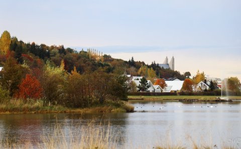 Launadeild Akureyrarbæjar lokuð í dag