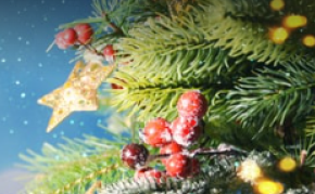 Heilsupistill Heilsuverndar í desmeber