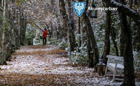 Bakgrunnar fyrir fjarfundi