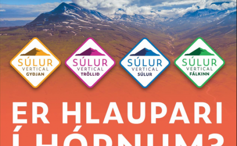 Skráning á sulurvertical.is